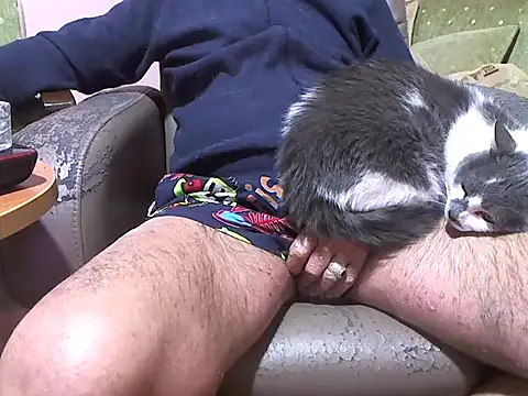 zormen355 online show from 04/08/26, 07:47