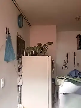 loba9706 online show from 01/25/25, 04:46