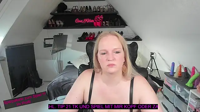 caro kitten online show from 01/17/26, 11:04