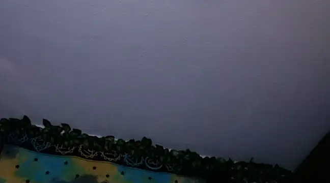 chanel 1041 online show from 12/26/24, 08:00