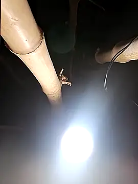 HotSexyBoudi online show from 02/26/26, 08:24