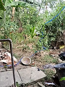 HotSexyBoudi online show from 04/18/26, 08:51