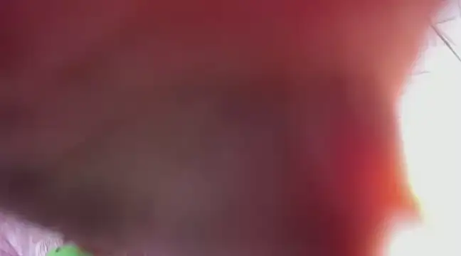 Kimmymadison- online show from 03/09/25, 06:39