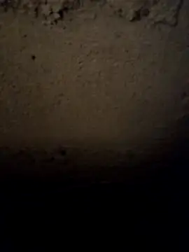 camila picante online show from 03/31/26, 03:56