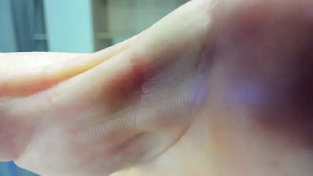 Alex Madrid online show from 02/03/25, 03:38