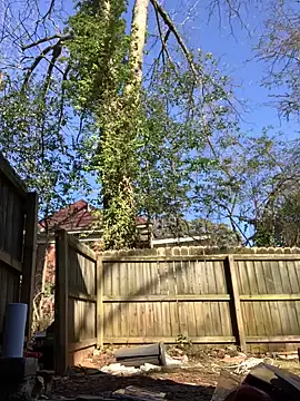 Snapshot of trash4cash chatting on 01/28/25, 08:04 trash4cash online show from 01/28/25, 08:04