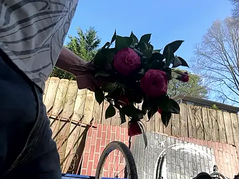 Snapshot of trash4cash chatting on 03/07/25, 09:06 trash4cash online show from 03/07/25, 09:06