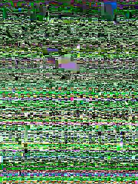 Snapshot of Snehameoww@xh chatting on 11/21/25, 04:16 Snehameowwxh online show from 11/21/25, 04:16