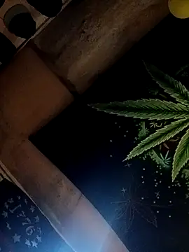 ySqmbVanbe online show from 10/17/25, 02:41