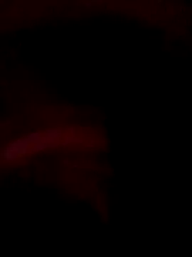 ySqmbVanbe online show from 12/14/25, 09:36