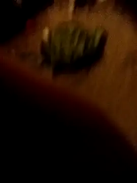 Snapshot of ySqmbVanbe chatting on 02/16/26, 01:35 ySqmbVanbe online show from 02/16/26, 01:35