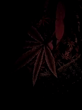 Snapshot of ySqmbVanbe chatting on 02/17/26, 04:42 ySqmbVanbe online show from 02/17/26, 04:42