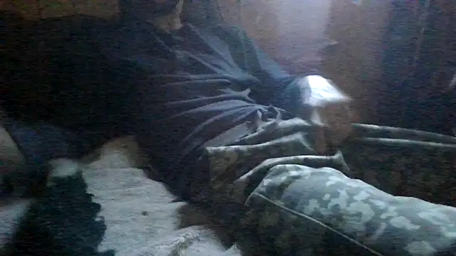 Snapshot of ySqmbVanbe chatting on 03/03/26, 03:51 ySqmbVanbe online show from 03/03/26, 03:51