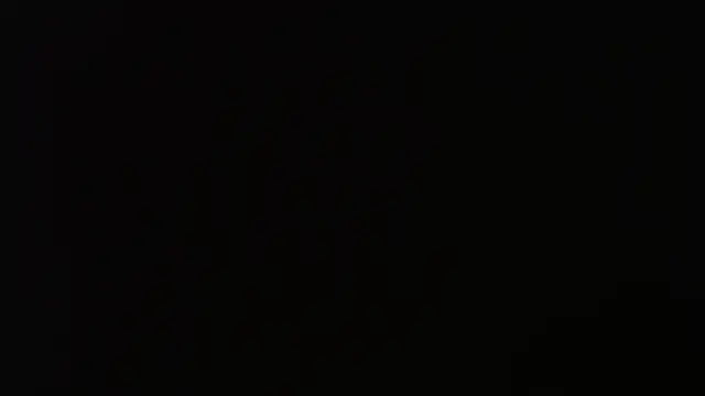 Snapshot of gauchinhaG chatting on 10/03/25, 11:24 gauchinhaG online show from 10/03/25, 11:24