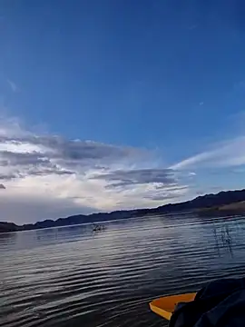 FloppyPickle4u online show from 02/13/26, 03:52