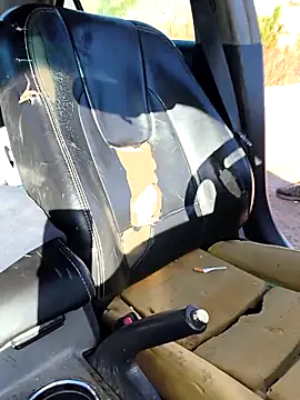 FloppyPickle4u online show from 03/09/26, 04:22