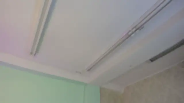 EvaaStevens online show from 11/05/25, 12:16