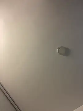 Princ3ssgabi online show from 02/12/25, 12:05