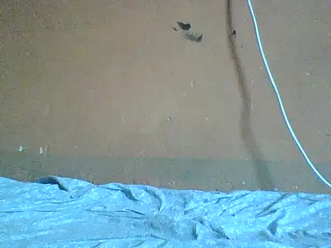 Naivegirrl online show from 02/08/26, 09:45