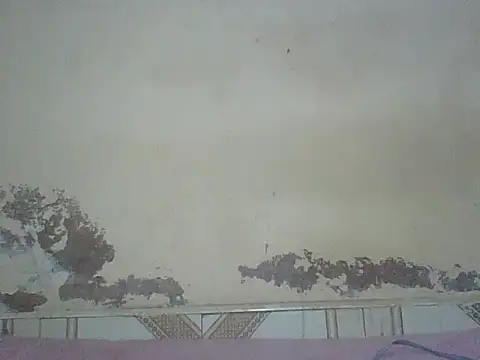 Naivegirrl online show from 08/01/26, 04:17