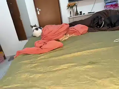 BRUALENC online show from 02/24/26, 09:29