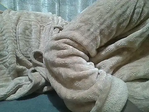 Fine assie online show from 04/10/26, 11:20