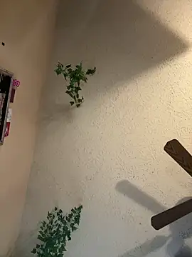 magicalc00ch online show from 03/16/25, 09:37