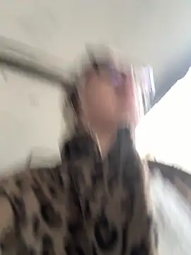 casalinga88 online show from 10/21/25, 11:11