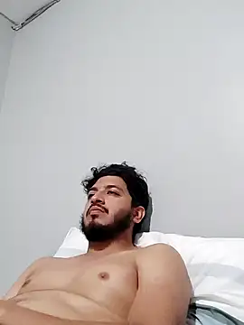 Snapshot of StripArt_ chatting on 02/02/25, 04:15 StripArt online show from 02/02/25, 04:15