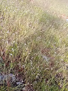 sexoooj online show from 10/22/25, 10:37