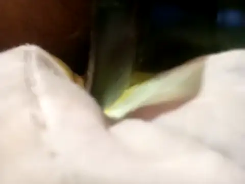 Pcsammy73 online show from 11/26/25, 10:05