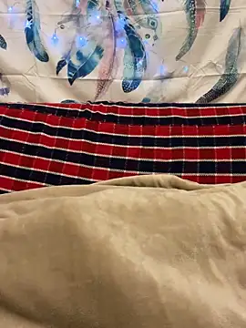 Snapshot of A6229 chatting on 01/11/25, 02:36 A6229 online show from 01/11/25, 02:36