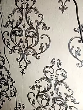 Snapshot of Mishika_Gill chatting on 01/22/25, 12:27 Mishika Gill online show from 01/22/25, 12:27