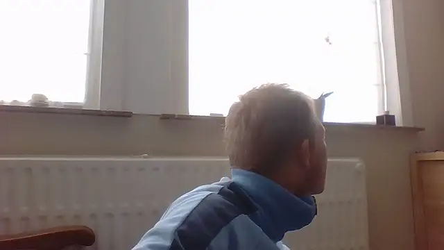 bertolini online show from 10/12/25, 01:32