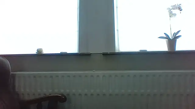 bertolini online show from 05/13/26, 04:59