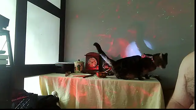 SexWorkerX online show from 12/20/25, 02:46