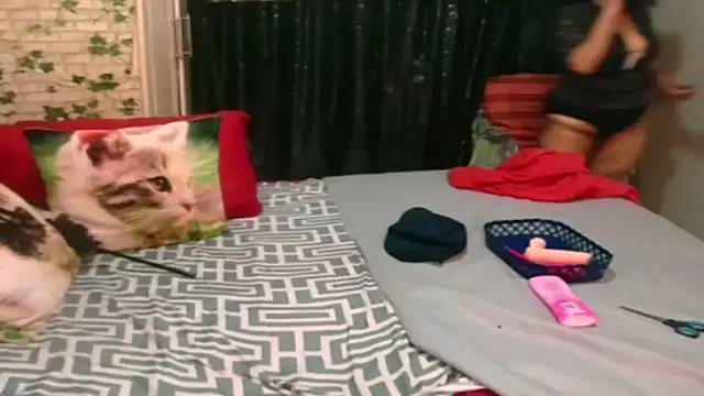 Indian Blaze00 online show from 03/22/25, 09:53