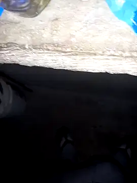 pujarteag online show from 04/08/26, 05:51