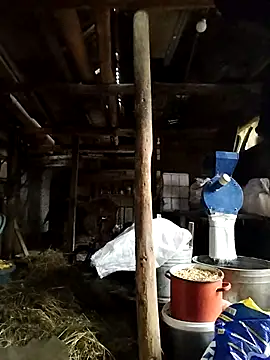 Snapshot of Sarpe84 chatting on 01/24/25, 06:03 Sarpe84 online show from 01/24/25, 06:03