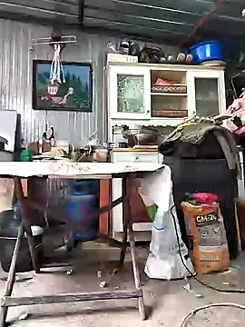 Snapshot of Sarpe84 chatting on 01/24/25, 09:17 Sarpe84 online show from 01/24/25, 09:17