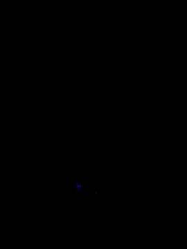 RIP Curl online show from 10/17/25, 06:49