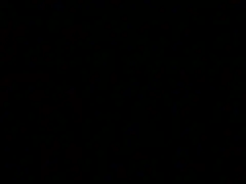 markluvskitty online show from 02/19/26, 02:18