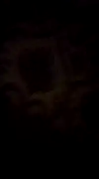 Snapshot of WreckedCrop chatting on 03/02/25, 08:29 WreckedCrop online show from 03/02/25, 08:29