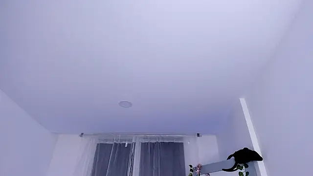  mia collins b  online show from 01/29/25, 01:48