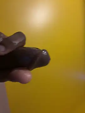 brosky-sx online show from 03/31/26, 03:34