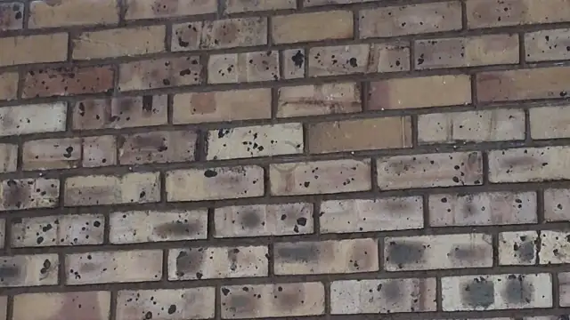 Astoria Moon online show from 12/21/24, 02:15