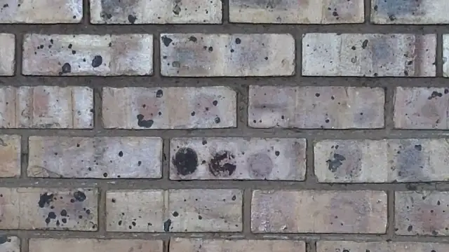 Astoria Moon online show from 02/10/25, 01:01