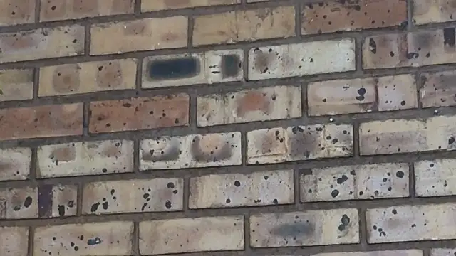 Astoria Moon online show from 02/24/25, 07:09