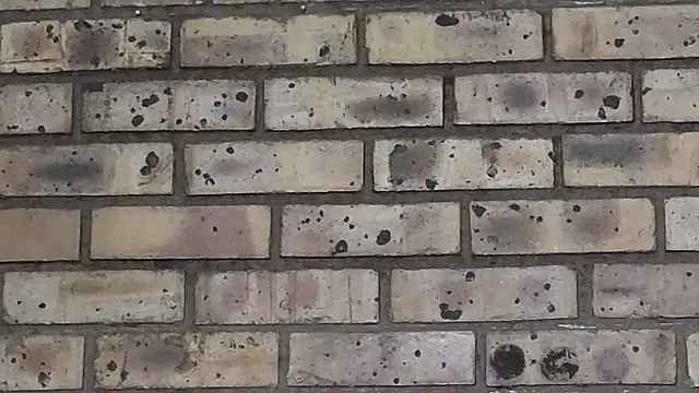 Astoria Moon online show from 03/22/25, 07:09