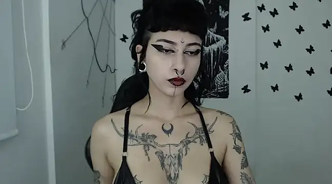 Snapshot of n0sferatus__ chatting on 01/29/25, 04:47 n0sferatus online show from 01/29/25, 04:47